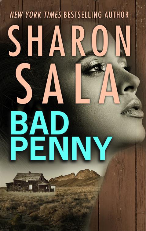 Bad Penny, The Cat Dupree Novels