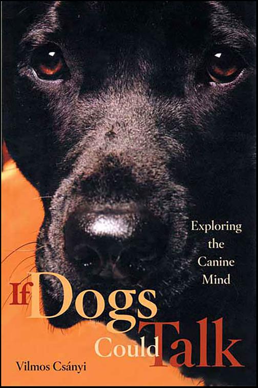 If Dogs Could Talk