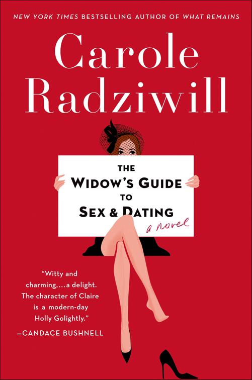 Widow&#x27;s Guide to Sex and Dating