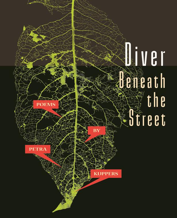 Diver Beneath the Street, Made in Michigan Writers Series