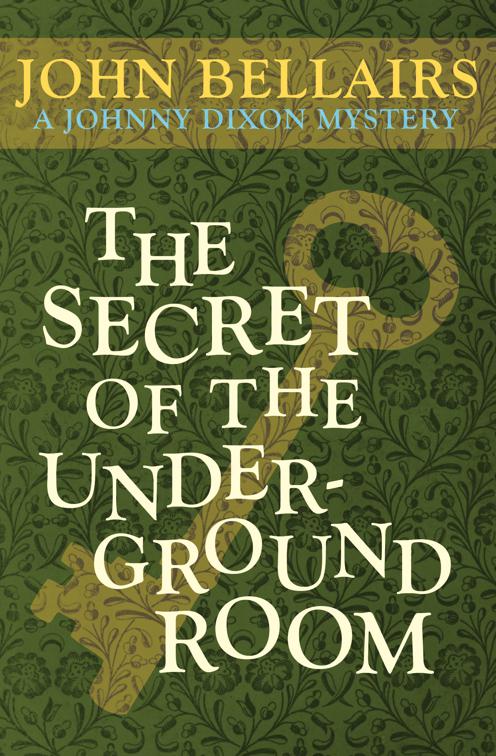 Secret of the Underground Room, Johnny Dixon