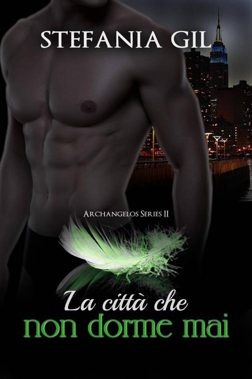 This image is the cover for the book La città che non dorme mai