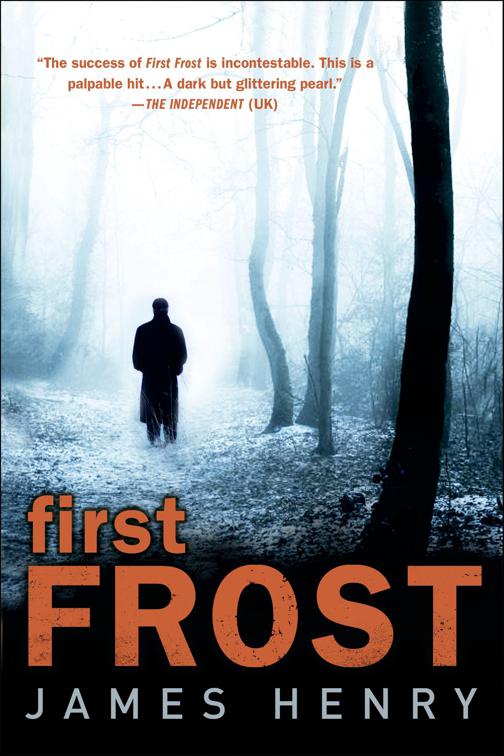 First Frost, DS Jack Frost Investigations