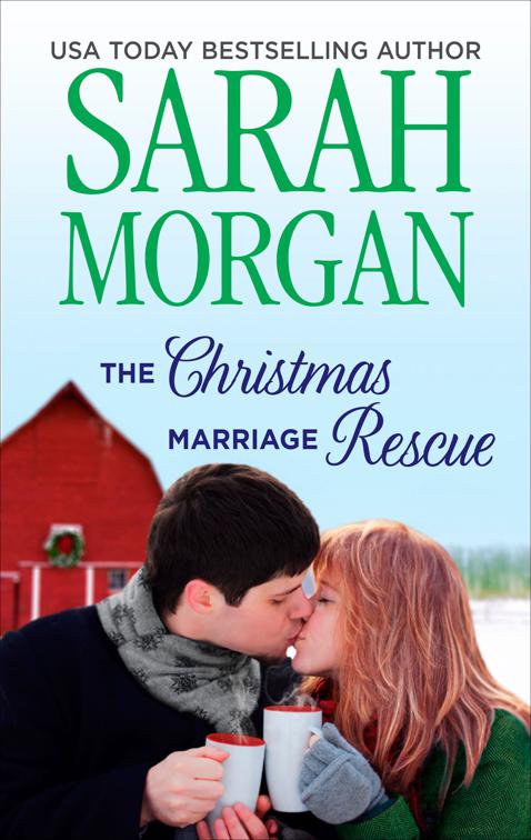 Christmas Marriage Rescue, Lakeside Mountain Rescue