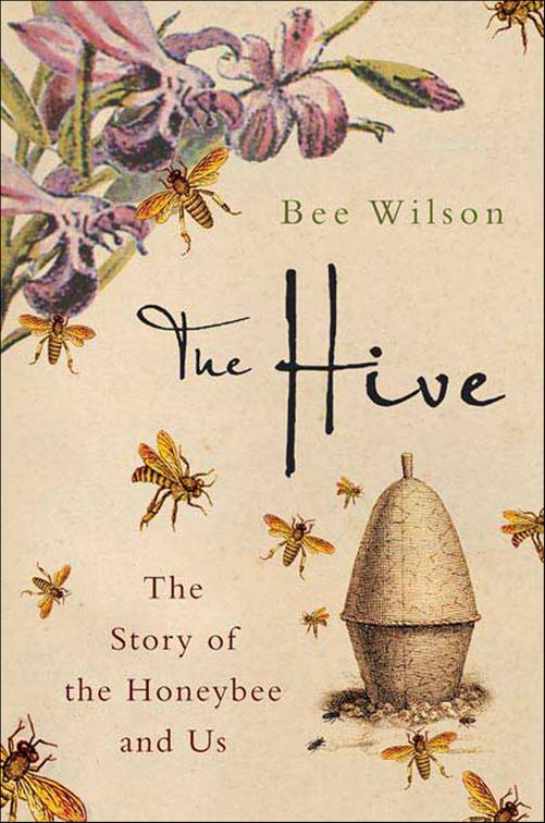 Hive