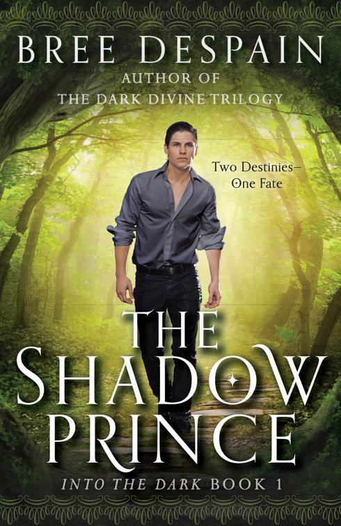 Shadow Prince, Into the Dark