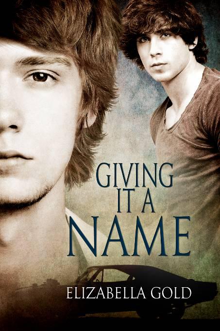 This image is the cover for the book Giving it a Name