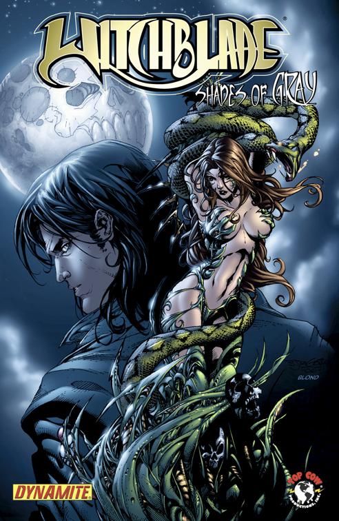 This image is the cover for the book Witchblade: Shades of Gray Vol. 1