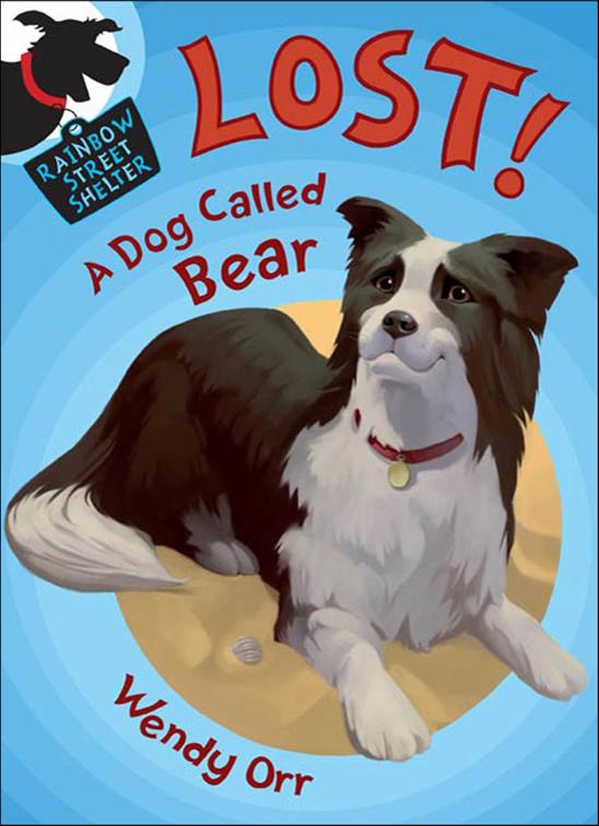 Lost! A Dog Called Bear, Rainbow Street Shelter