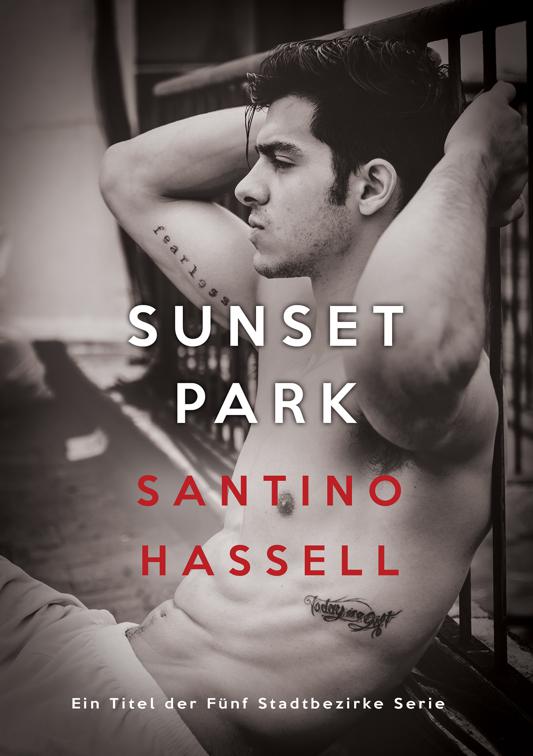 This image is the cover for the book Sunset Park (Deutsch), Fünf Stadtbezirke