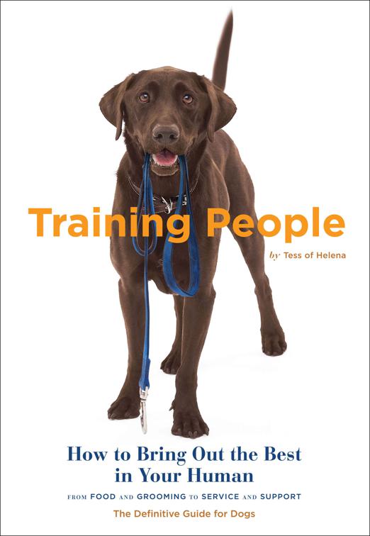 Training People