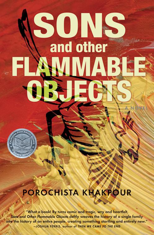 Sons and Other Flammable Objects