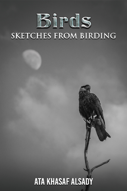 Birds: Sketches from Birding