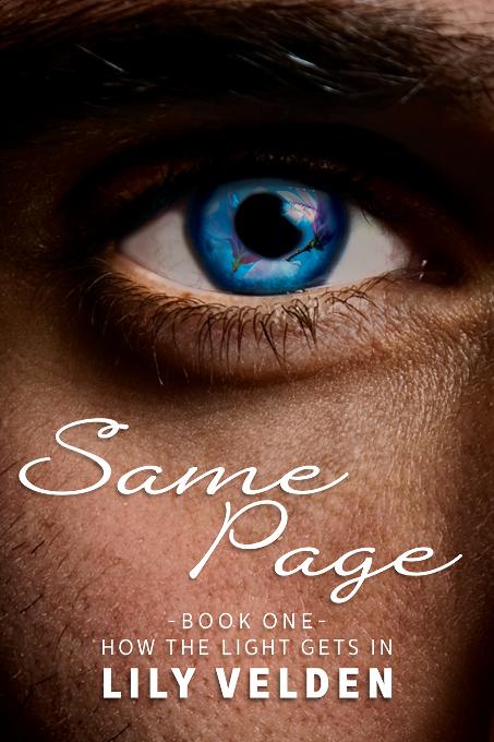 This image is the cover for the book Same Page, How the Light Gets In