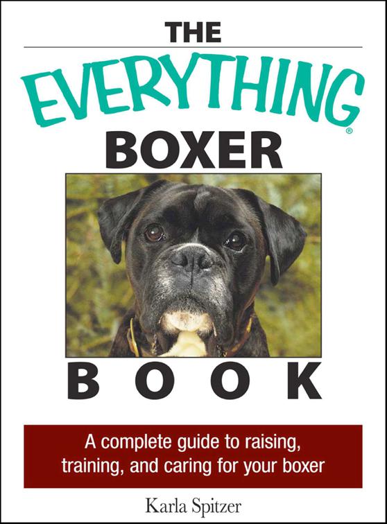 Everything Boxer Book, The Everything Books