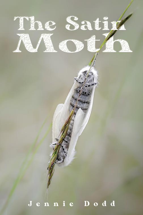 This image is the cover for the book The Satin Moth