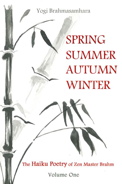 This image is the cover for the book Spring Summer Autumn Winter