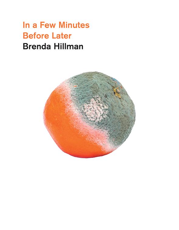 In a Few Minutes Before Later, Wesleyan Poetry Series