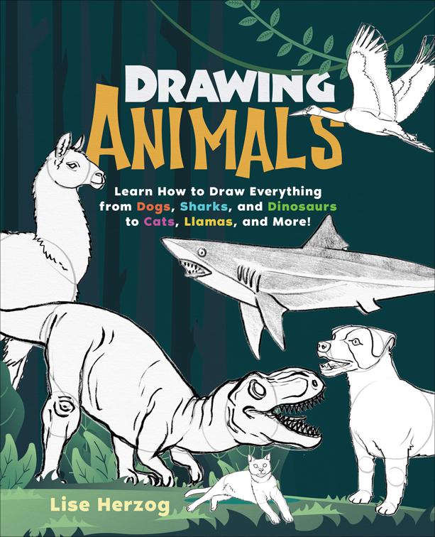 Drawing Animals, How to Draw Books