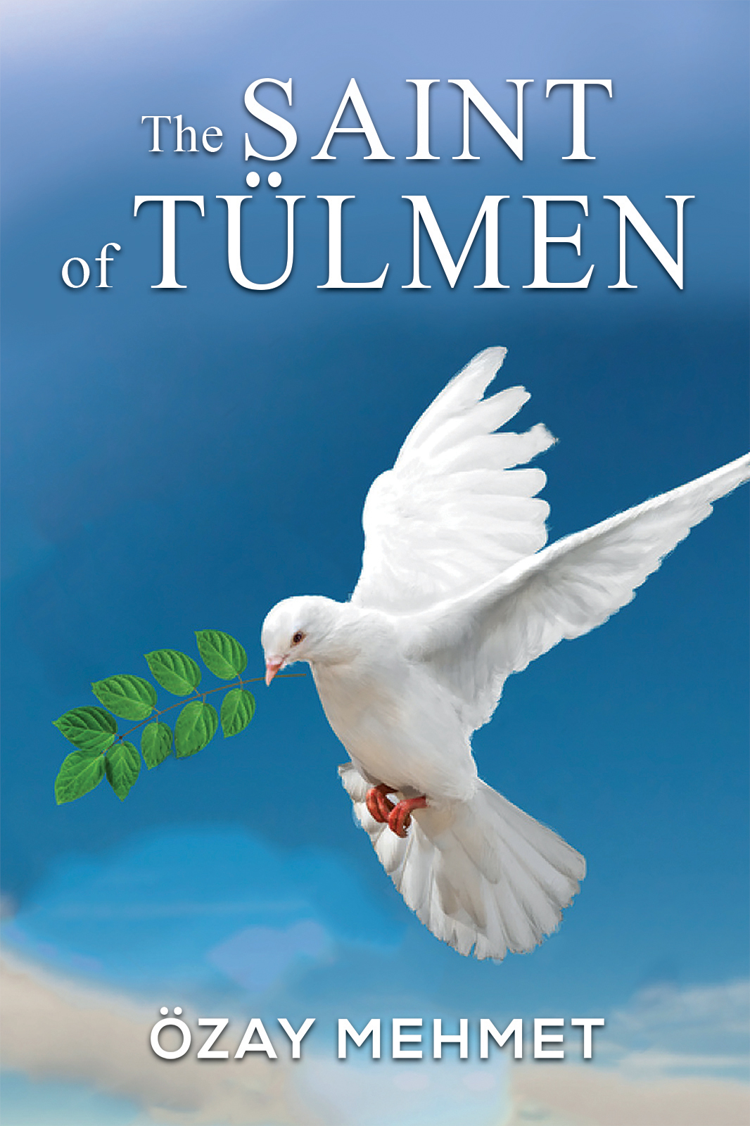 This image is the cover for the book The Saint of Tülmen