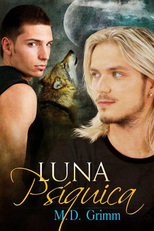 This image is the cover for the book Luna Psíquica, Los cambiantes