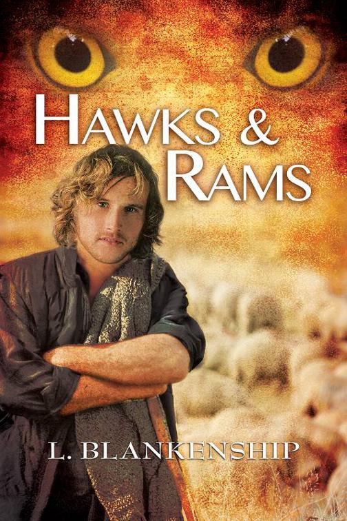 Hawks &amp; Rams