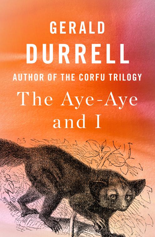 Aye-Aye and I