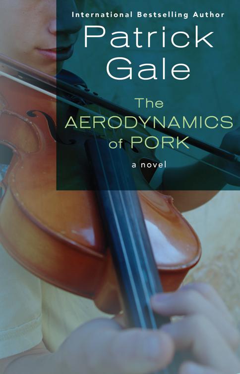 Aerodynamics of Pork
