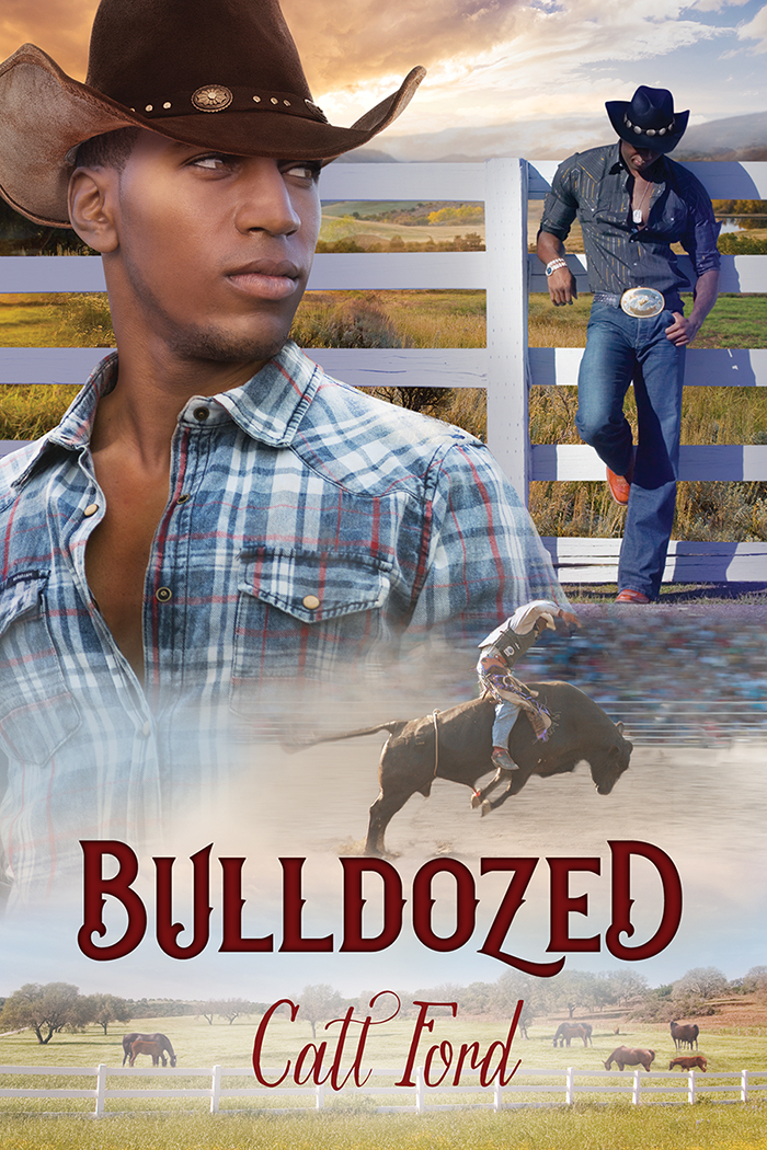 This image is the cover for the book Bulldozed