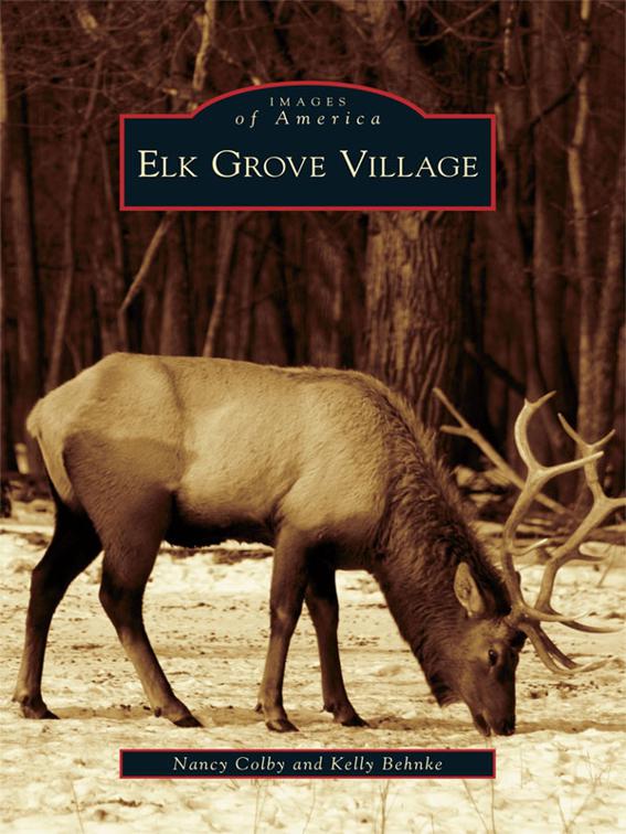 Elk Grove Village, Images of America