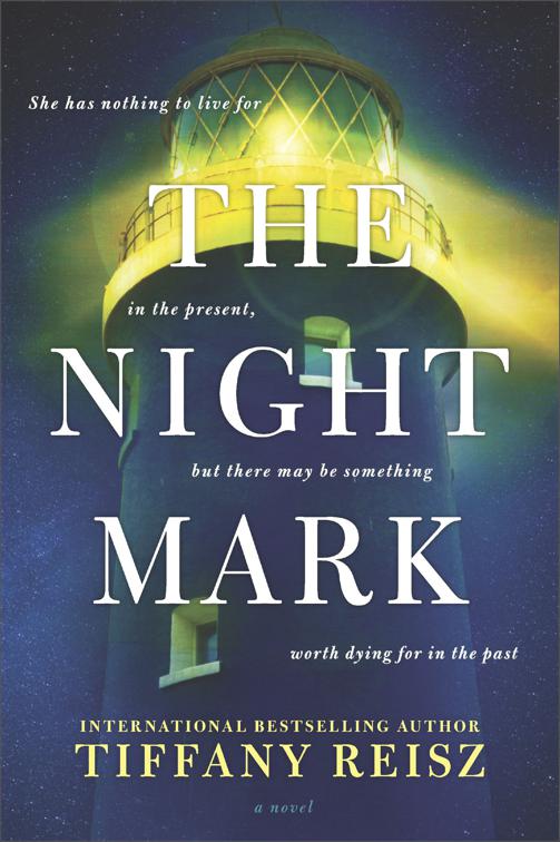 This image is the cover for the book Night Mark