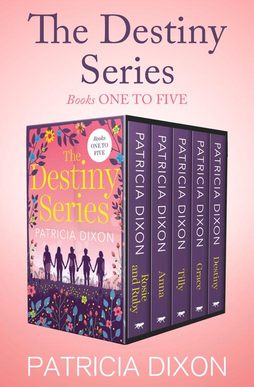 Destiny Series Books One to Five, The Destiny Series