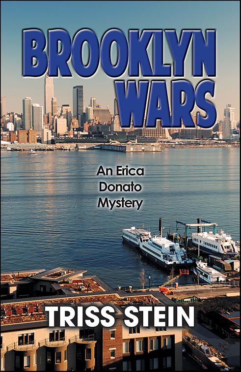 Brooklyn Wars, Erica Donato Mysteries