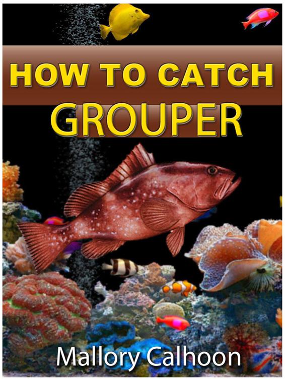 How To Catch Grouper, Correct Times