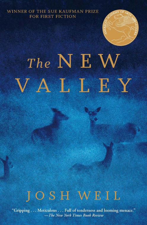New Valley