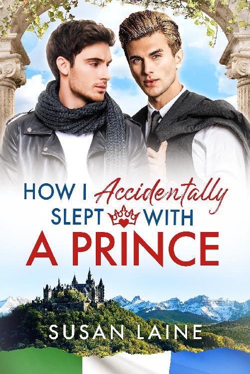 This image is the cover for the book How I Accidentally Slept With a Prince