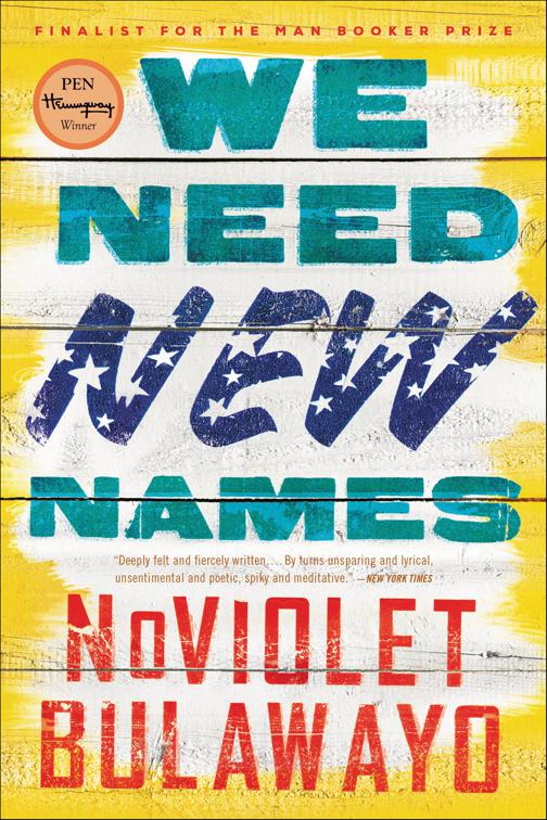 We Need New Names, NoViolet Bulawayo