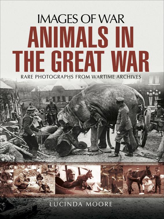 Animals in the Great War, Images of War