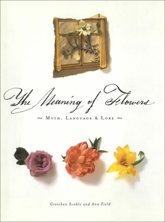 Meaning of Flowers