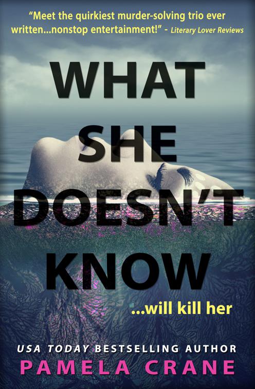 What She Doesn&#x27;t Know, If Only She Knew Mystery Series