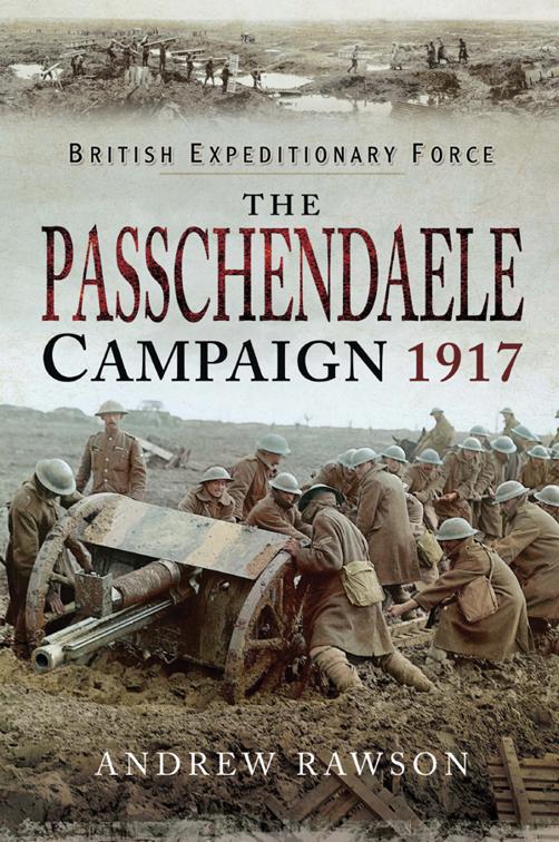 Passchendaele Campaign, 1917, British Expeditionary Force