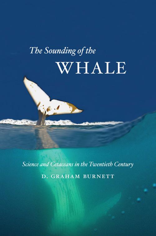 Sounding of the Whale