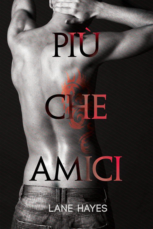 Più che amici, Serie Più che...
