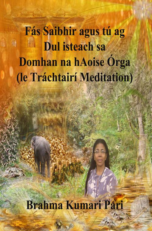 Fás Saibhir agus tú ag Dul isteach sa Domhan na hAoise Órga (le Tráchtairí Meditation)