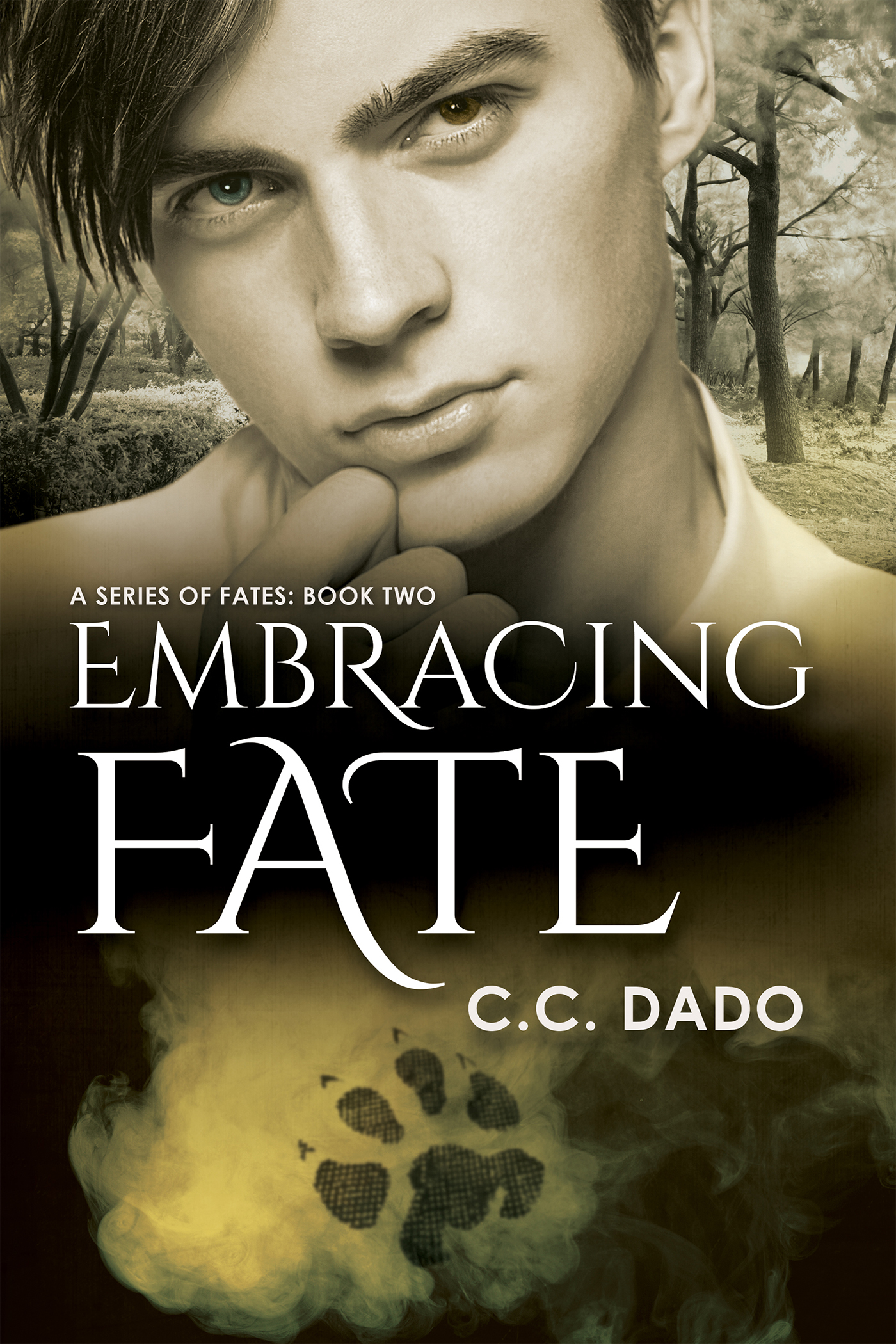 This image is the cover for the book Embracing Fate, A Series of Fates