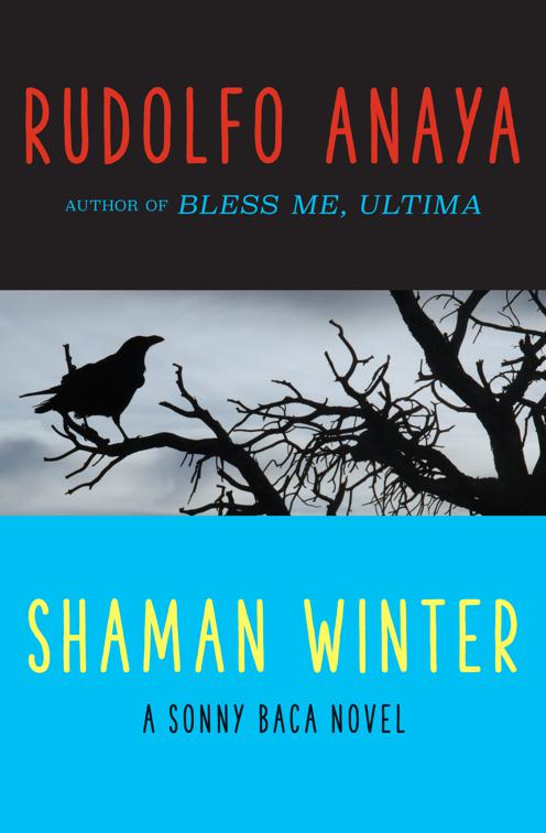 Shaman Winter, The Sonny Baca Novels