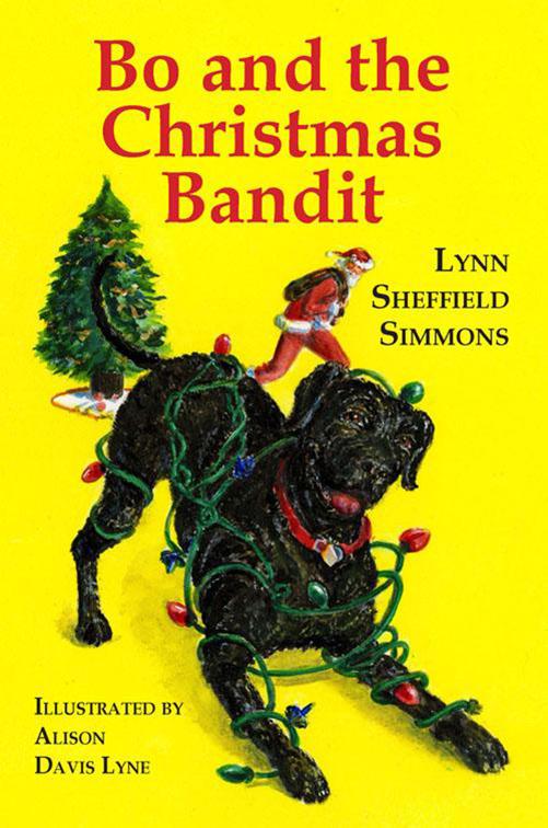 Bo and the Christmas Bandit, The Bo Series