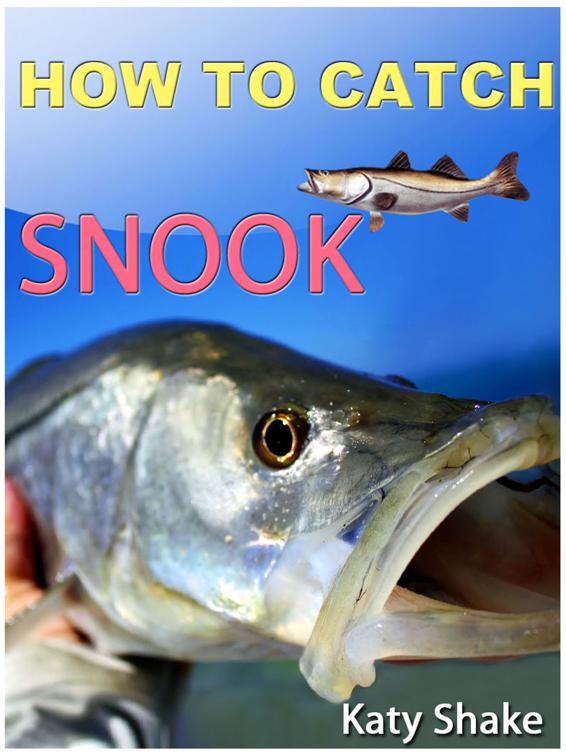 How To Catch Snook, Correct Times