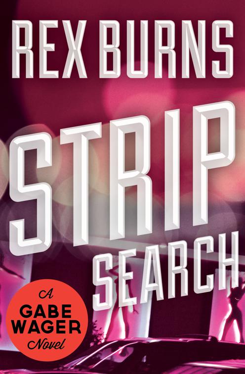 Strip Search, The Gabe Wager Novels