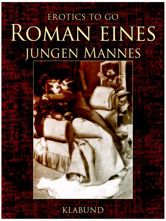 This image is the cover for the book Roman eines jungen Mannes, Erotics To Go